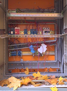 Schaltschrank mit herbstlichem Laub