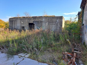 Industrieruine_Muehlenfliess_Okt24_050_klein
