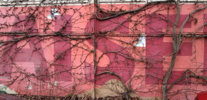 Kaisers-Markt_Feb24_0160_klein