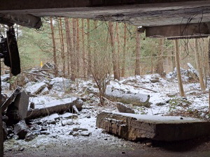 Fassadenteile KdF-Seebad Prora auf R�gen