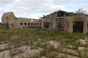Lost Place Usedom: Verlassenes landwirtschaftliches Gehft in Neuendorf bei Zinnowitz