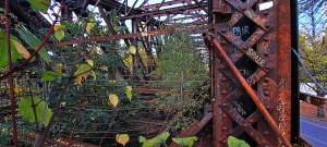 Herbstlaub auf der alten Liesenbrcke