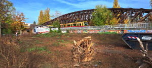 Berliner Mauer / Liesenbrcke