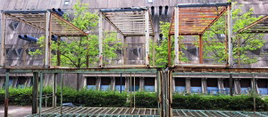 Musebunker_Apr2024_180_klein