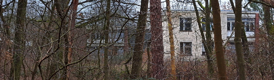 Nervenklinik Spandau: Blick auf die Gebude