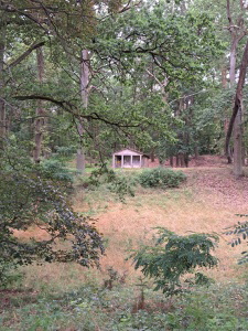 verlassenes kleines Gebäude im Wald Götzer Berge verlassenes kleines Gebäude im Wald Götzer Berge
